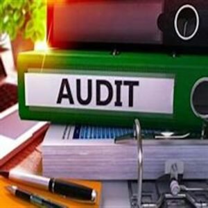 Professional Tax Audits