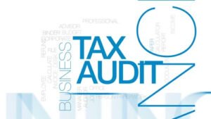 Expert Tax Audit Services for Businesses